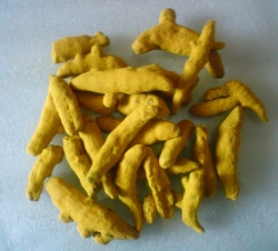 Turmeric