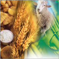 For Agro Chemical Industry