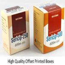 Manufacturers Exporters and Wholesale Suppliers of Duplex Printing Boxes Rajkot Gujarat