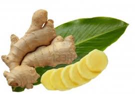 Manufacturers Exporters and Wholesale Suppliers of ginger Nashua NH