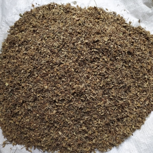 Manufacturers Exporters and Wholesale Suppliers of ORGANIC MORINGA dry flower Tuticorin Tamil Nadu