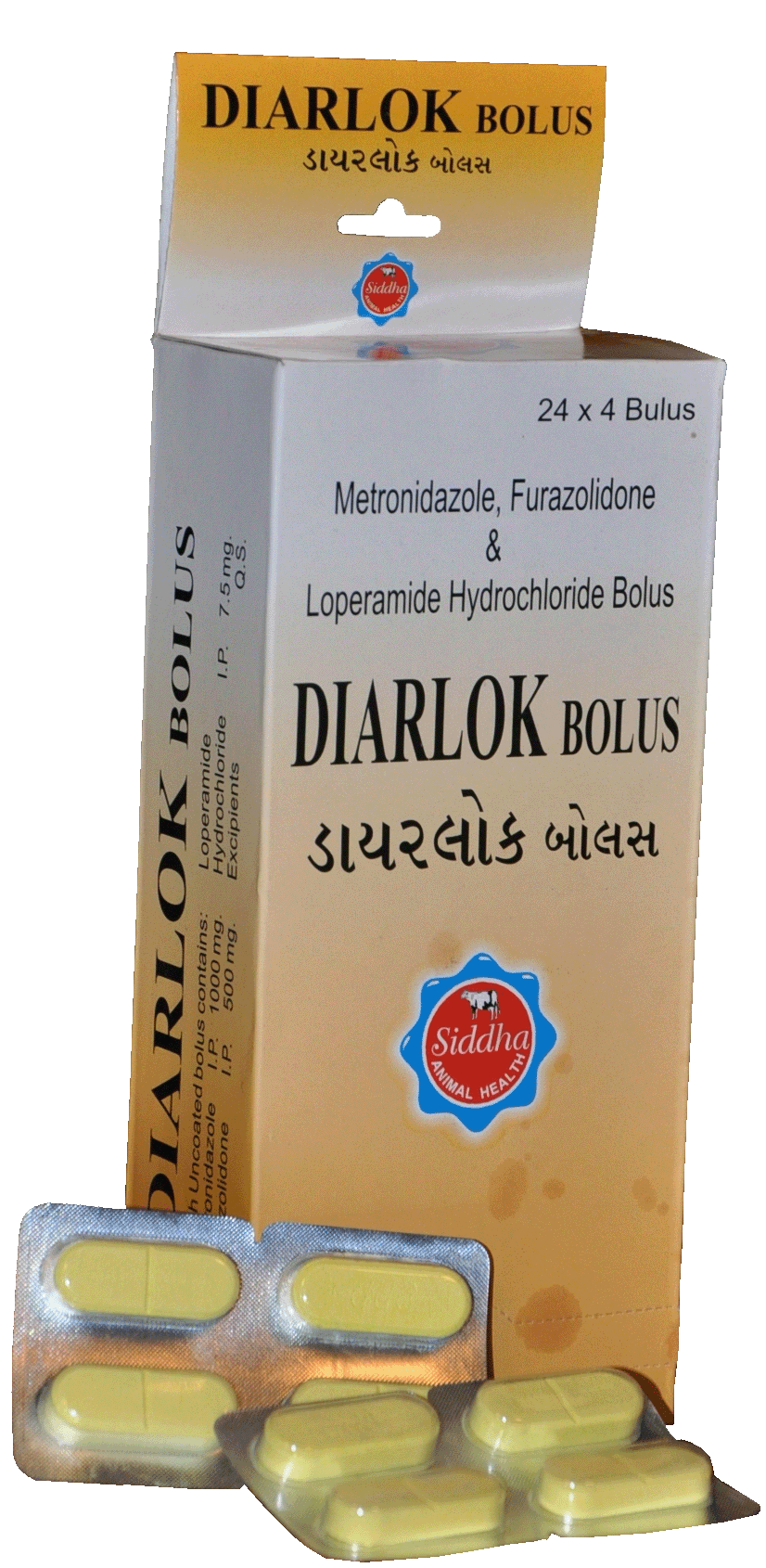Manufacturers Exporters and Wholesale Suppliers of DIARLOK BOLUS Patan Gujarat