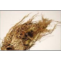 Manufacturers Exporters and Wholesale Suppliers of Sugandhmantri Root Nagaon Assam