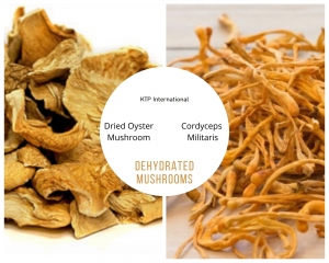 Dehydrated or Dried Mushroom Manufacturer Supplier Wholesale Exporter Importer Buyer Trader Retailer in Rajkot Gujarat India