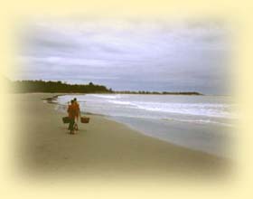 Manufacturers Exporters and Wholesale Suppliers of Blue Sea Tour Dhaka Blue Sea Tour