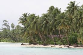 Manufacturers Exporters and Wholesale Suppliers of Thailand Adventure Tour Dhaka Thailand Adventure Tour