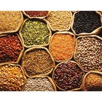 Manufacturers Exporters and Wholesale Suppliers of Pulses Chennai Tamil Nadu