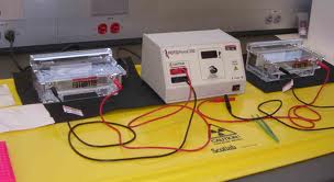 Manufacturers Exporters and Wholesale Suppliers of Electrophorosis Delhi Delhi