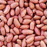 Manufacturers Exporters and Wholesale Suppliers of Groundnuts Ahmedabad Gujarat