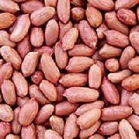 Groundnuts
