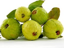 Guava Manufacturer Supplier Wholesale Exporter Importer Buyer Trader Retailer in pune Maharashtra India