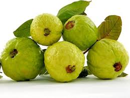 Guava