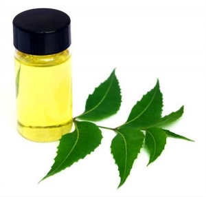 Manufacturers Exporters and Wholesale Suppliers of Neem Oil Coimbatore Tamil Nadu