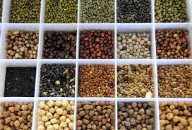 Manufacturers Exporters and Wholesale Suppliers of Pulses KOLLAM Kerala