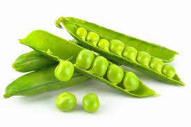 Manufacturers Exporters and Wholesale Suppliers of Peas Indore Madhya Pradesh