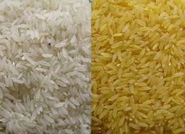 Manufacturers Exporters and Wholesale Suppliers of Rice Nagpur Maharashtra