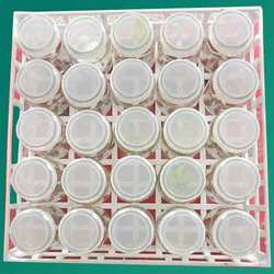 Manufacturers Exporters and Wholesale Suppliers of Tissue Culture Bottle Trays Pune Maharashtra
