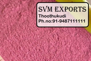 Manufacturers Exporters and Wholesale Suppliers of Beetroot powder Tuticorin Tamil Nadu