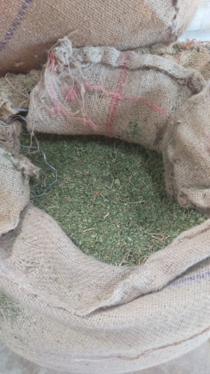 Manufacturers Exporters and Wholesale Suppliers of Papaya  Leaves Tuticorin Tamil Nadu