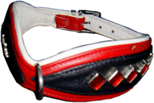 Shaped soft Dog Collar with ornaments Services in Kanpur Uttar Pradesh India