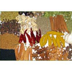 Manufacturers Exporters and Wholesale Suppliers of Blended Spices Vadodara Gujarat