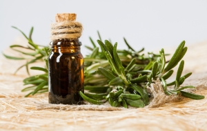 Rosemary herbs Manufacturer Supplier Wholesale Exporter Importer Buyer Trader Retailer in African Other 