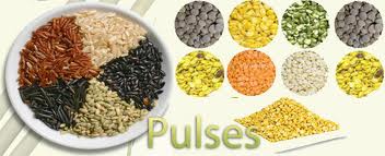 Pulses