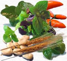 Herbs Manufacturer Supplier Wholesale Exporter Importer Buyer Trader Retailer in AHMEDABAD Gujarat India