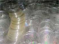 Plastic Scrap 3 Manufacturer Supplier Wholesale Exporter Importer Buyer Trader Retailer in MUMBAI Maharashtra India