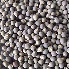 Okra Seeds (Lady finger Seeds) Manufacturer Supplier Wholesale Exporter Importer Buyer Trader Retailer in Tuticorin Tamil Nadu India