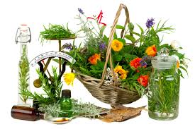 Manufacturers Exporters and Wholesale Suppliers of Herbal NEW DELHI DELHI