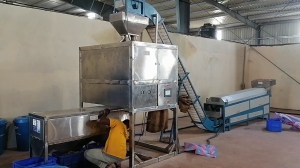 Automatic Cashew Peeling Machine Manufacturer Supplier Wholesale Exporter Importer Buyer Trader Retailer in Gurgaon Haryana India