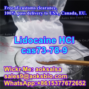 Bulk supply lidocaine hcl powder cas 73-78-9 lidocaine hcl China factory supplier safe delivery Manufacturer Supplier Wholesale Exporter Importer Buyer Trader Retailer in Wuhan Beijing China