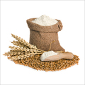 Whole Grain Wheat Atta Manufacturer Supplier Wholesale Exporter Importer Buyer Trader Retailer in Samrala Punjab India