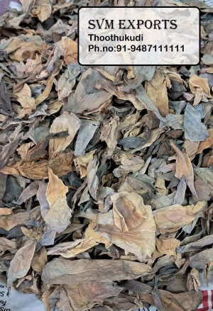 Manufacturers Exporters and Wholesale Suppliers of Blue lotus petals Tuticorin Tamil Nadu
