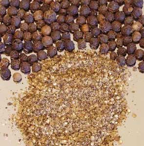 Manufacturers Exporters and Wholesale Suppliers of Black Pepper Seeds jaipur Rajasthan