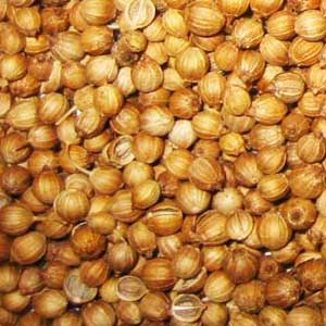 Manufacturers Exporters and Wholesale Suppliers of Coriander Seeds jaipur Rajasthan