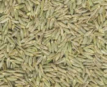 Manufacturers Exporters and Wholesale Suppliers of Cumin Seeds jaipur Rajasthan