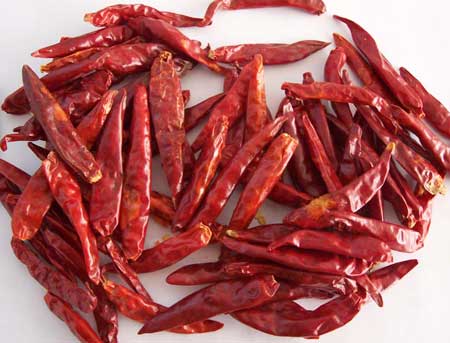 Manufacturers Exporters and Wholesale Suppliers of Dried Red Chilli jaipur Rajasthan