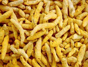 Turmeric Fingers Manufacturer Supplier Wholesale Exporter Importer Buyer Trader Retailer in jaipur Rajasthan India