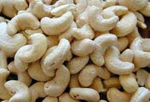 Manufacturers Exporters and Wholesale Suppliers of Cashew Nuts jaipur Rajasthan