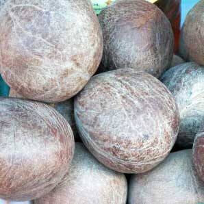 Manufacturers Exporters and Wholesale Suppliers of Dry Coconuts jaipur Rajasthan