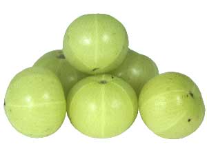 Manufacturers Exporters and Wholesale Suppliers of Amla Fruit jaipur Rajasthan