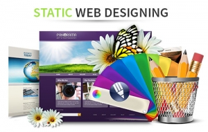 Static Web Designing Services Services in Uttam Nagar East Delhi India