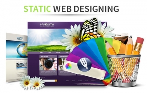 Service Provider of Static Web Designing Services Uttam Nagar East Delhi