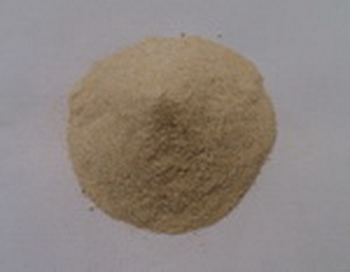 Manufacturers Exporters and Wholesale Suppliers of Seasoning powder Bangkok 