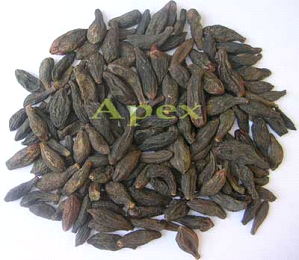 Manufacturers Exporters and Wholesale Suppliers of Black Himej Jaipur Rajasthan