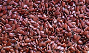 Flax Seeds (Linseed) Manufacturer Supplier Wholesale Exporter Importer Buyer Trader Retailer in Gandhidham Gujarat India