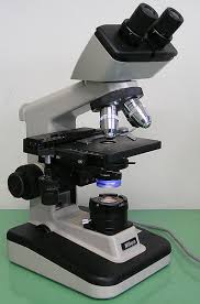 Microscopes Manufacturer Supplier Wholesale Exporter Importer Buyer Trader Retailer in Ambala Cantt Haryana India