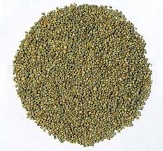 Bajra Manufacturer Supplier Wholesale Exporter Importer Buyer Trader Retailer in Pune Maharashtra India